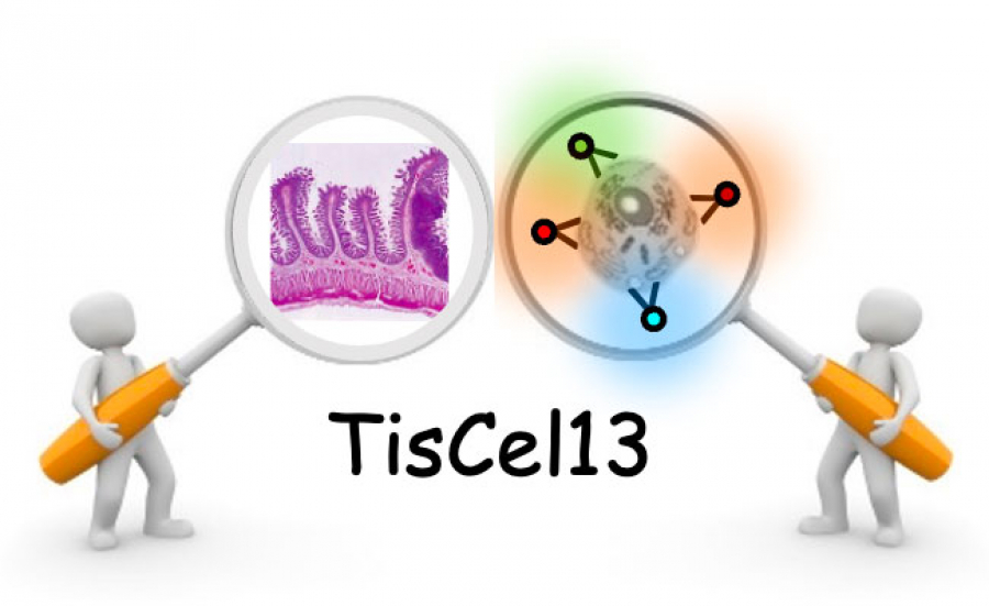 Histology and Cytometry